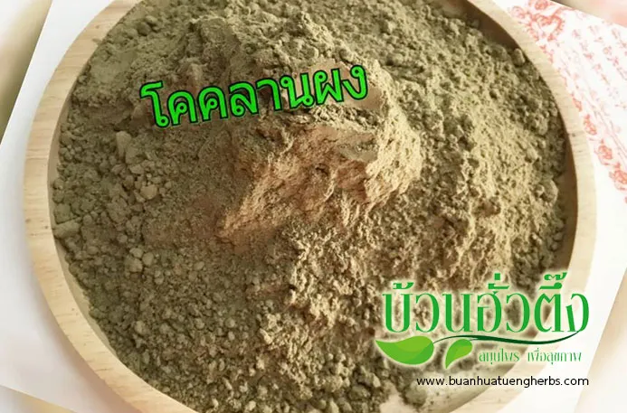 buanhuatuengherbs1