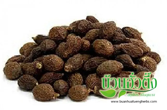 iTopPlus1027017791940