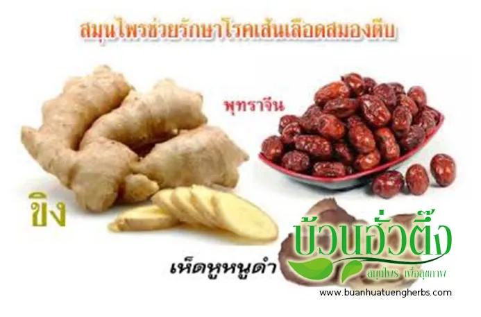iTopPlus174079758724