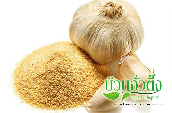 iTopPlus237055071029