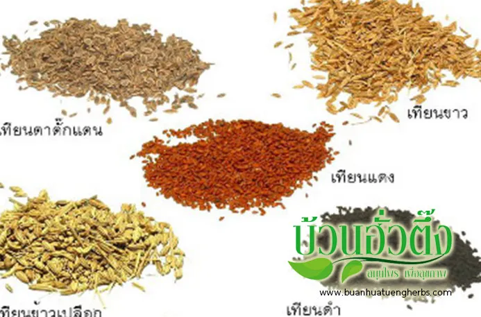 iTopPlus260367351922
