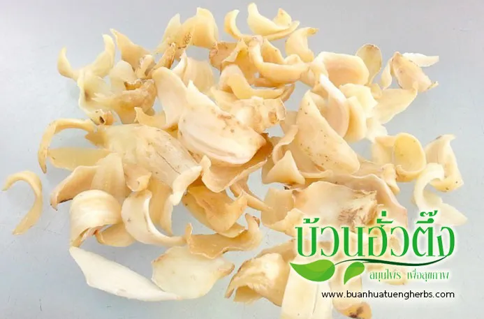 iTopPlus270624115144
