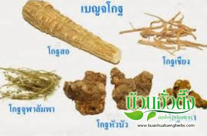 iTopPlus452111969199