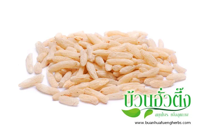 iTopPlus771054622602