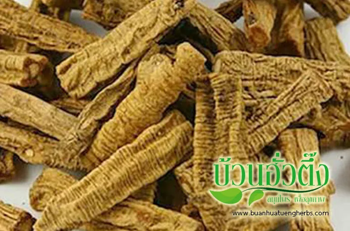 iTopPlus816900394440