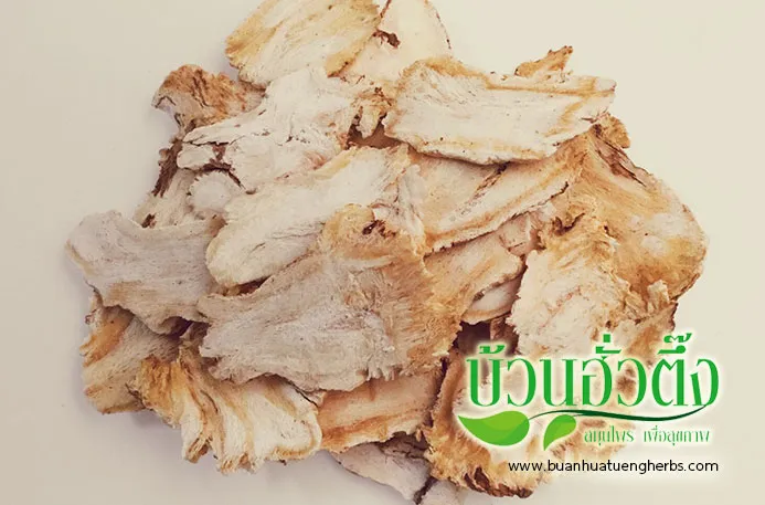 iTopPlus908567336366