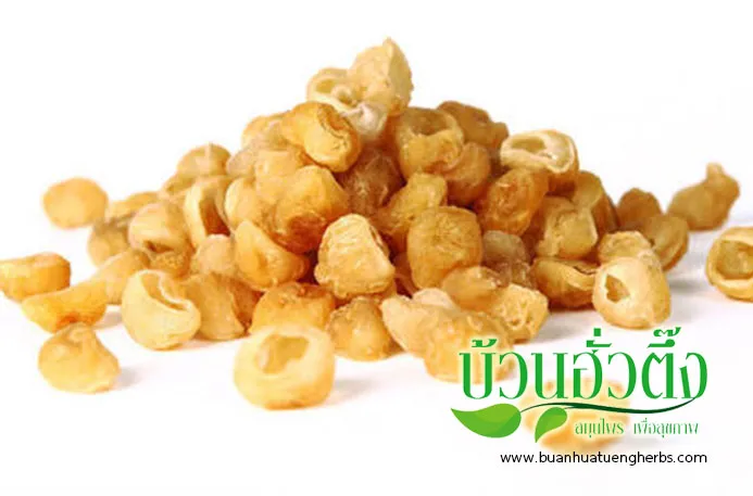 iTopPlus912501655105