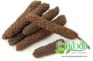 iTopPlus1302188219077