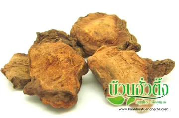 iTopPlus1340303300003