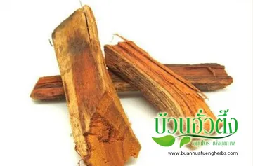 iTopPlus182545637425