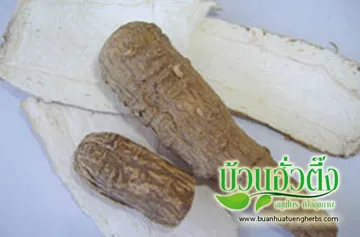 iTopPlus235060392239