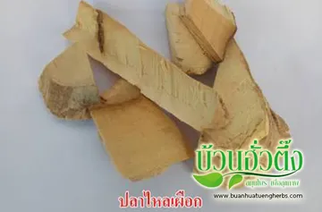 iTopPlus527724446561