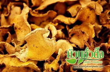 iTopPlus700383462945