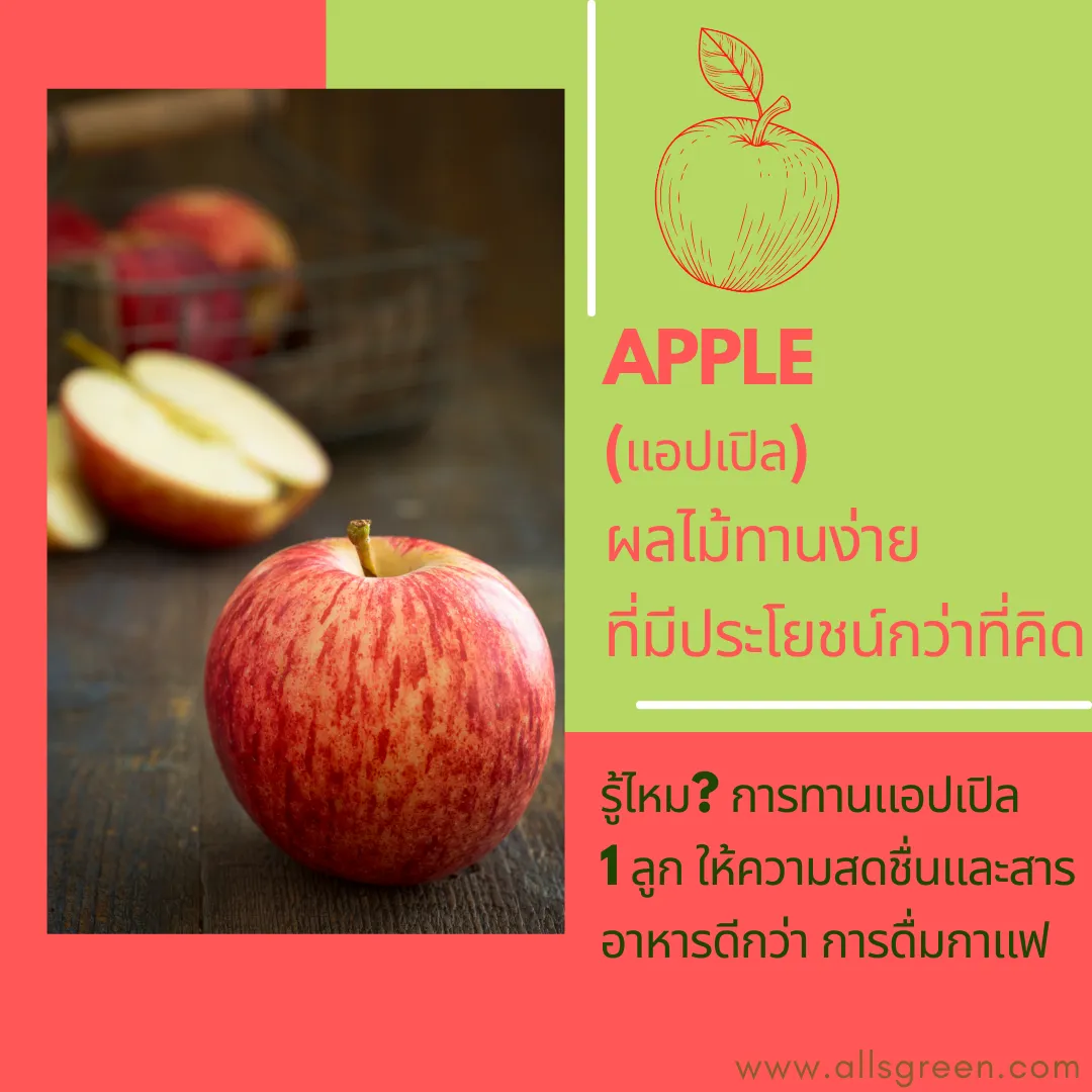 Yacon(บัวหิมะ)เย็นกรอบหอมอ่อนๆดีต่อร่างกาย(5)