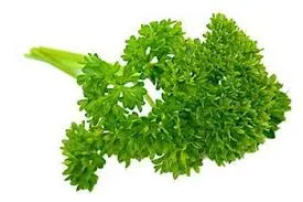พลาสลี่