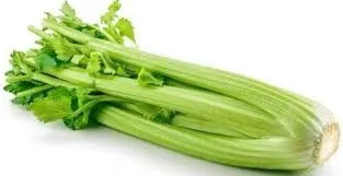 เซเลอรี่
