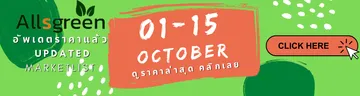 อัพเดตราคาแล้ว(1883x500px)