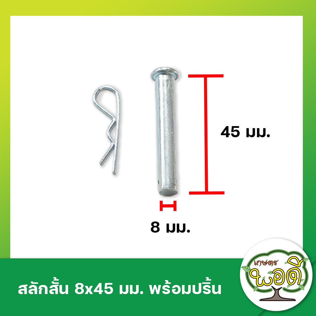 สลักสั้น - ปริ้นล็อค 8x45