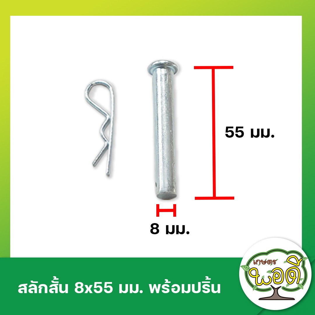 สลักสั้น - ปริ้นล็อค 8x55