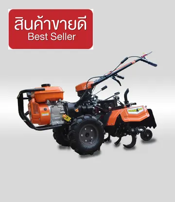 621Xขายดี