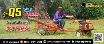 DEMOQ5-02