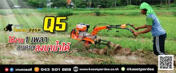 DEMOQ5-04