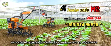 แบนเนอร์เว็บรุ่นM2