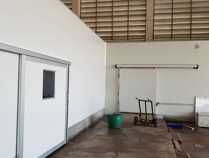 iTopPlus32185280238