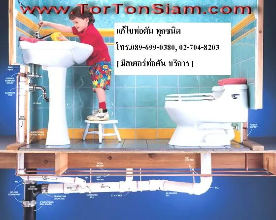 iTopPlus217066620