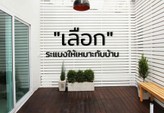 บทความเลือกระแนงเวิดเพลส
