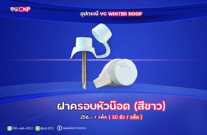 ฝาครอบน๊อตวินเทอร์รุฟ