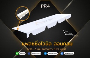 แฟลชชิ่งไวนิลกลม