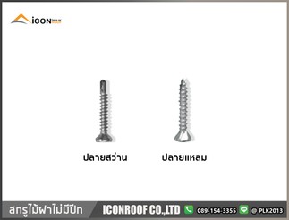 สกรูไม้ฝาไม่มีปีก