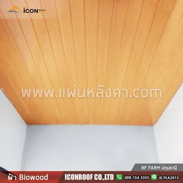 ฝ้าไบโอbfปทุม_sharp_1
