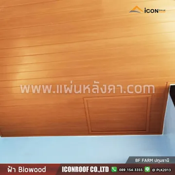 ฝ้าไบโอbfปทุม_sharp_2
