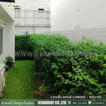 ม
