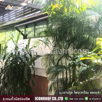 ม
