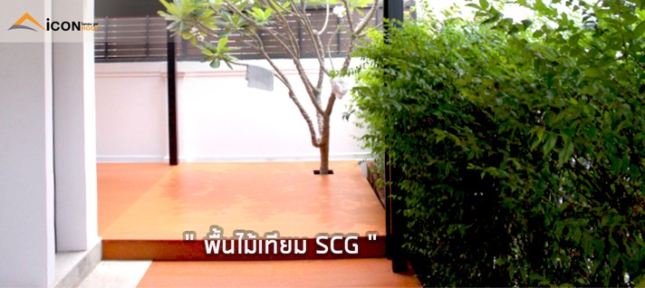 แบรนเนอร์ธรรมดา