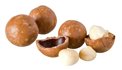 Macadamia Nut Oil
