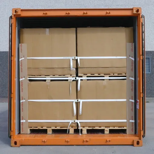 soft-packaging-in-a-container-secured-with-cordstrap-anchorlash