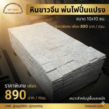 S132849670