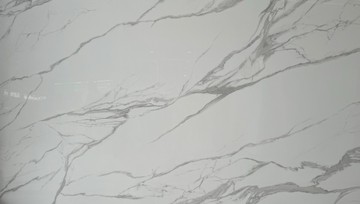 S529825798