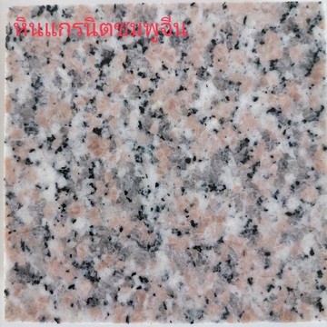S5298339860