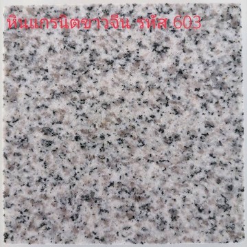 S5298339880