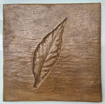S5584322630