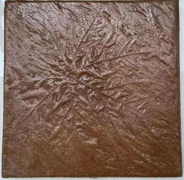 S5584322650