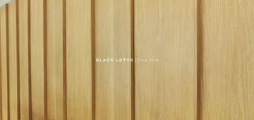 wwwBanner1903x900BlackLotus20240805Page2
