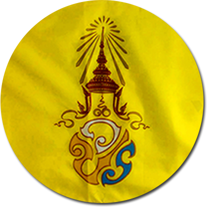 iTopPlus1194177979002
