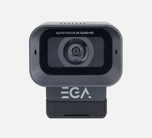 ega1