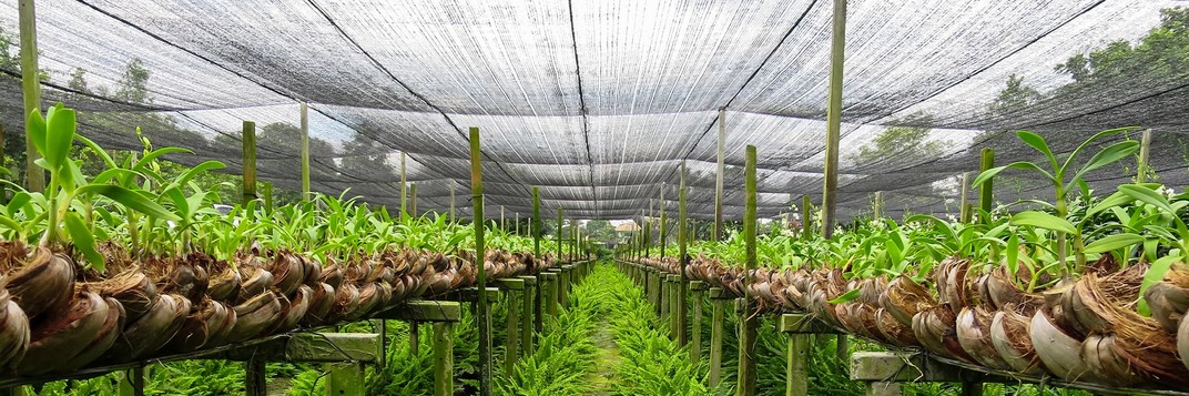 All-About-Greenhouse-Shade-Nets-and-Why-You-Should-Use-Them